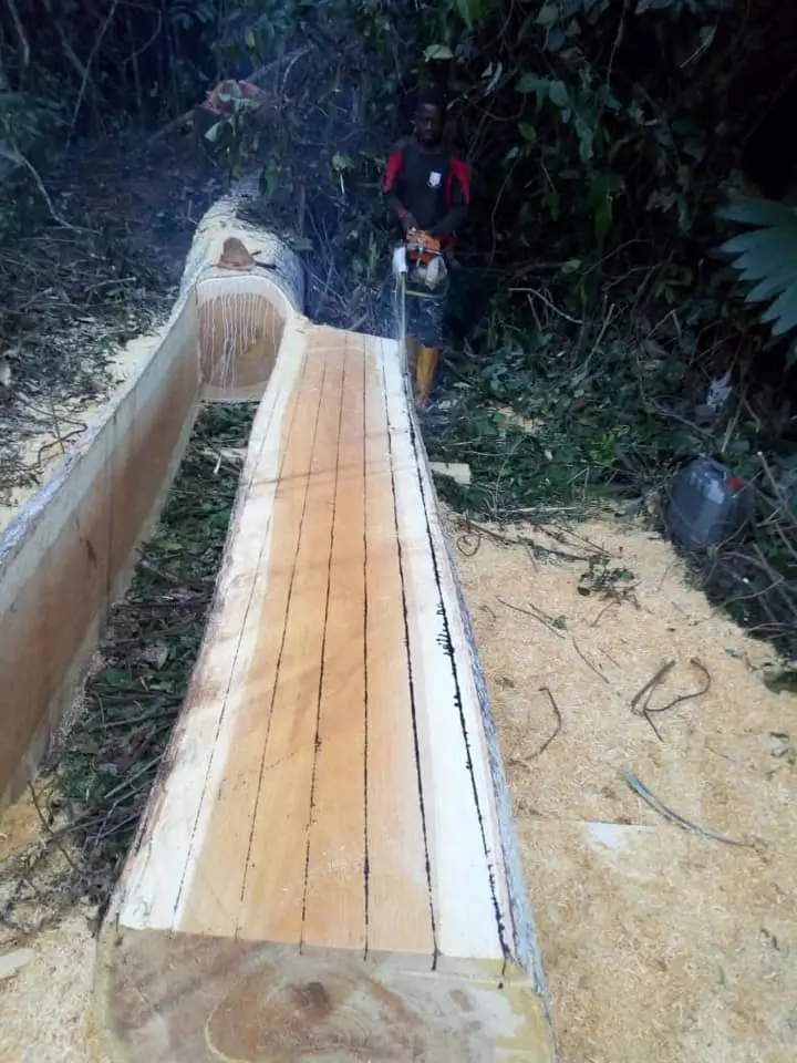 First School Being Built in Cameroon Getting Lumber