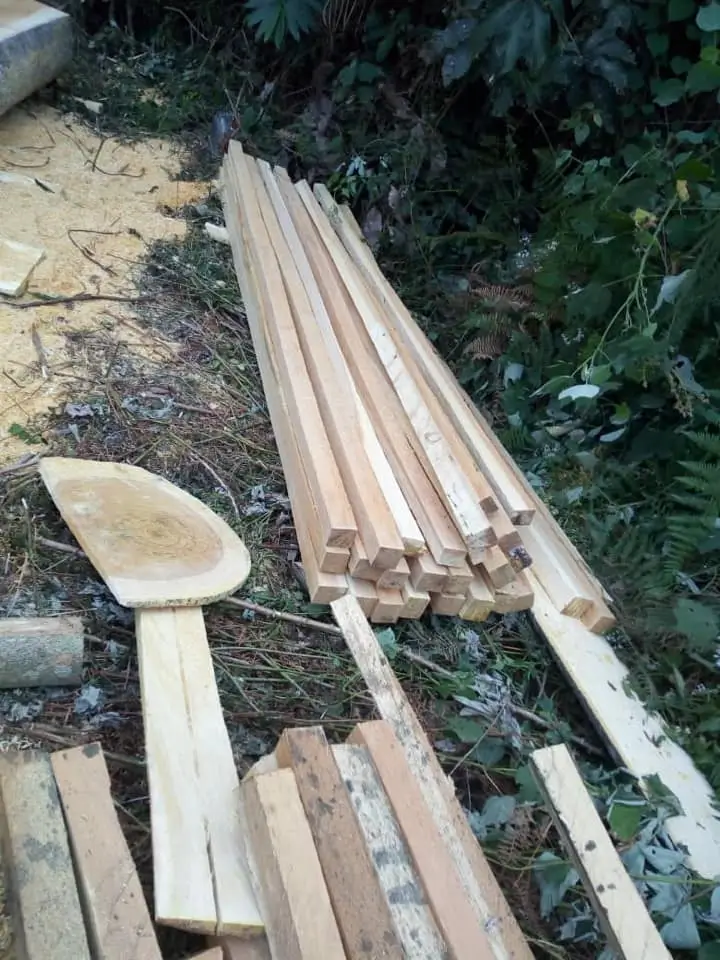 First School Being Built in Cameroon Lumber by Chainsaws
