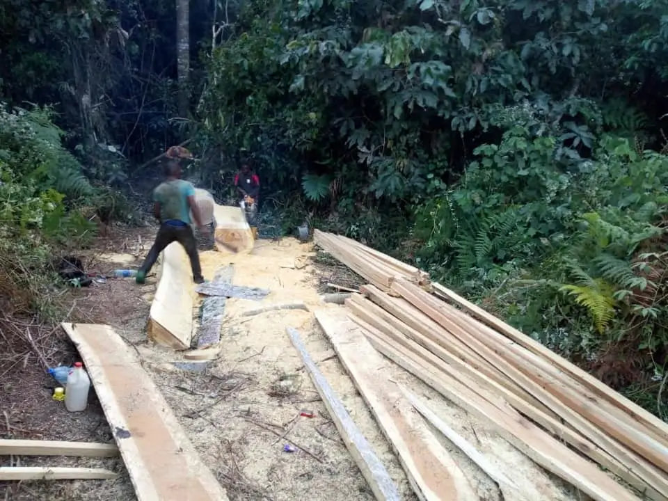 First School Being Built in Cameroon.